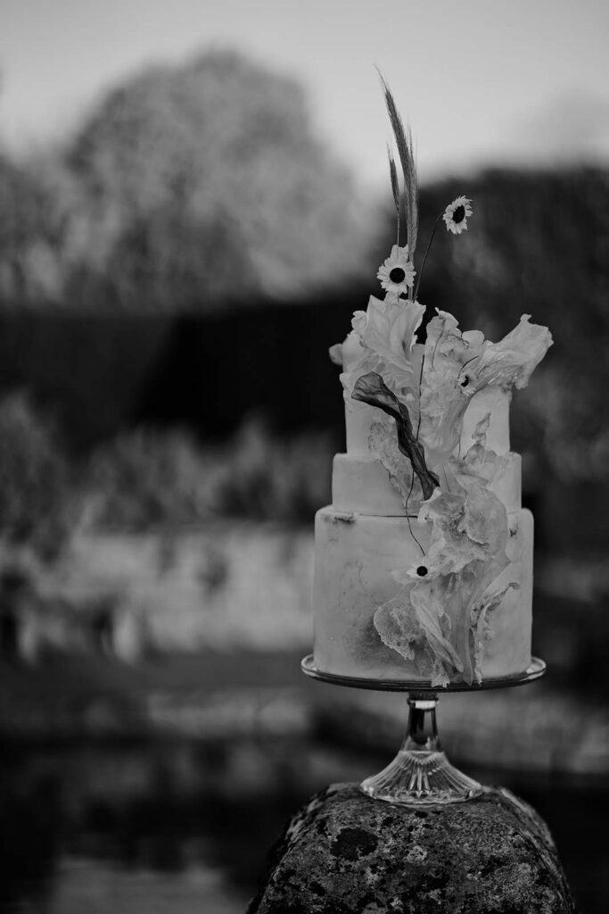 AgrestalVisuals Hinton St Mary Black White image Cake 1